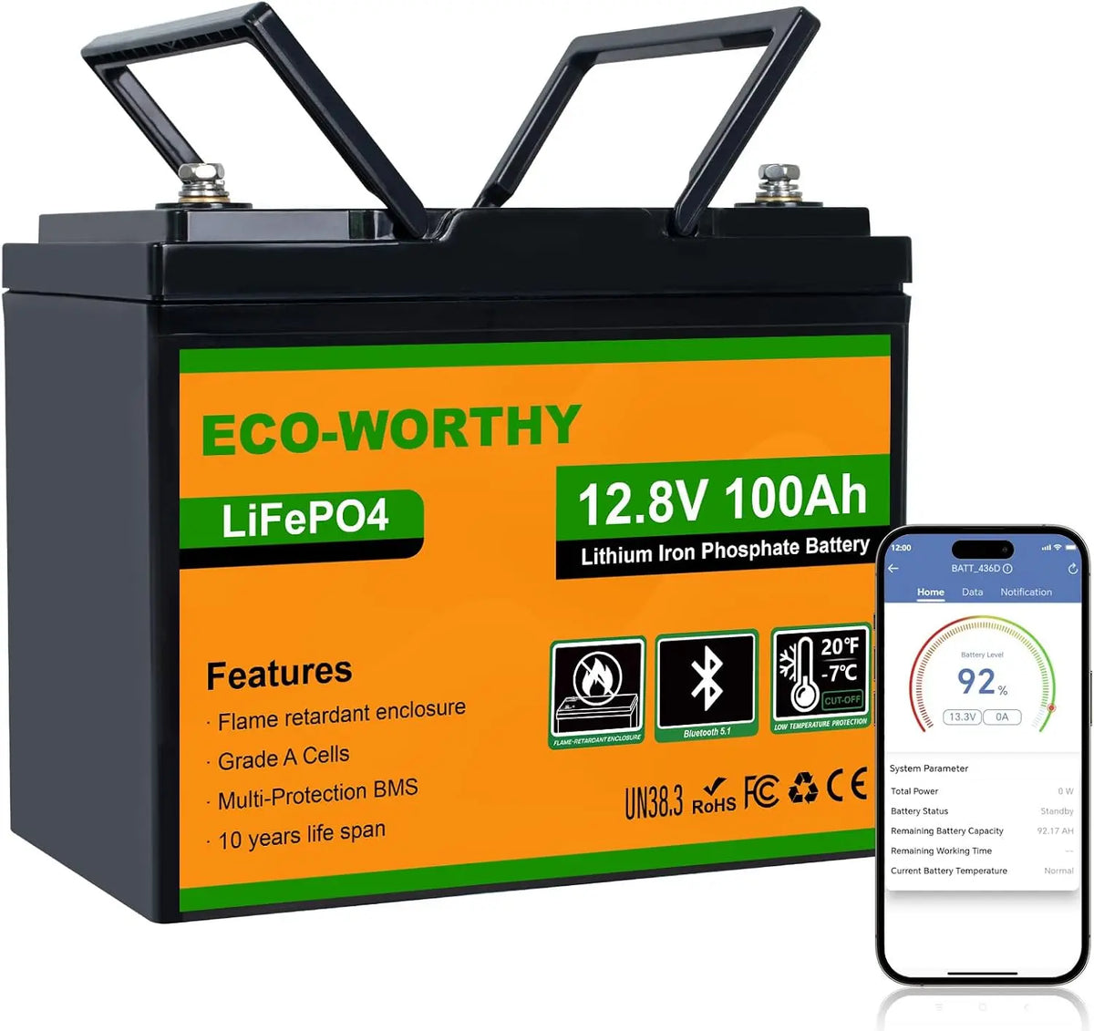ECO-WORTHY Bateria LiFePO4 de 12V 100Ah con Bluetooth para autocaravanas